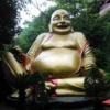 改名