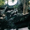 梦想是远方