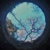 正儿八经的