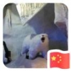 世华