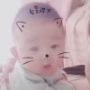 车路仕汽车汽修服务
