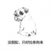 姑娘我想泡你闺蜜