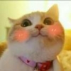 HonG丶