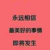别奥汽服