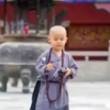 鹰在沙漠