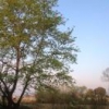 陶冲湖