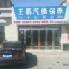 王鹏39