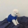 汽修小胖