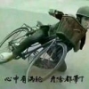 绽放青春