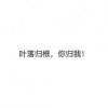 不想睡觉的小鲤鱼