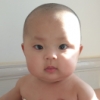 兔羊的故事
