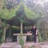 马伦礼
