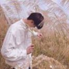养乐多80