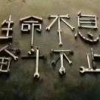 jiaoyoongqing