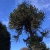 活在當下