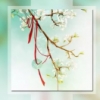 梦里梦见梦不见的
