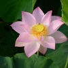 长青汽修
