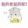 没有用户名