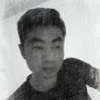 weilesi