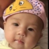 杨鹏