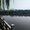 陈发义