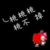 张家女婿