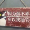 人丑话不多