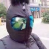 晓之动