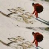 懵懵懂懂