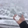 二百五十一号先生