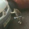 从头再来32