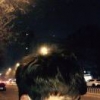 芯漾