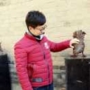 张育真