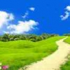 蒲公英1
