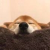 等风起