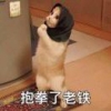 张先生9