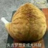 乄cuizhen