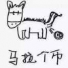 杨东东