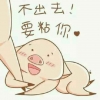 羊阳