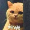 请不要在乎我