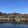 江惠刚HZ13Y