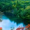 流年似水85
