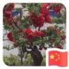 六安北站精修汽车电路空调疑难杂