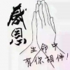 A小占