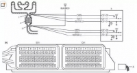 图3A