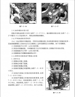 图3B