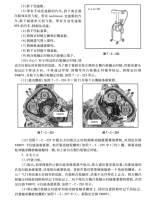 图4B