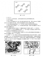 图3A