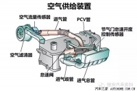 图3A