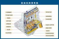 图3B